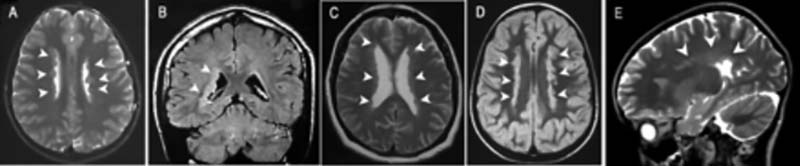 1764037909650049633.jpg 图片1.jpg