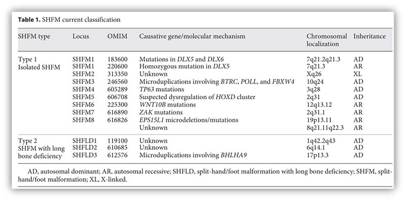 1764832055954031070.jpg 图片1.jpg