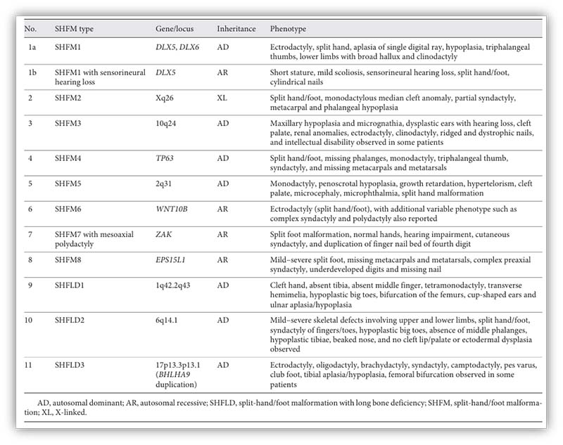 1764832088307087413.jpg 图片2.jpg