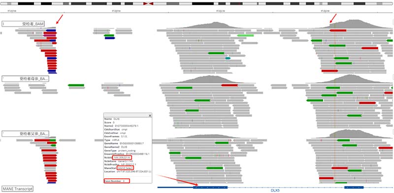 1764832523111090695.jpg 图片4.jpg