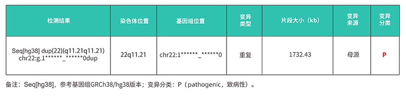 2-检测结果.jpg