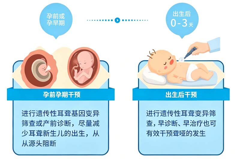1782178460431004504.jpg 遗传性耳聋基因筛查科普.jpg