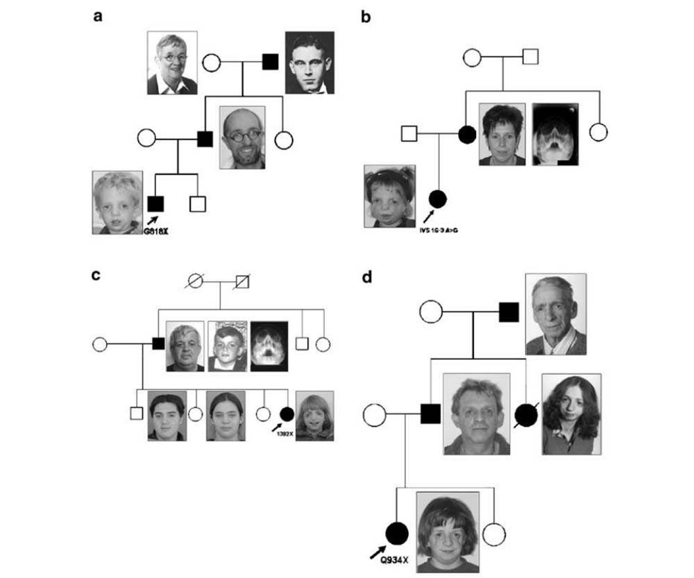 图片6.jpg