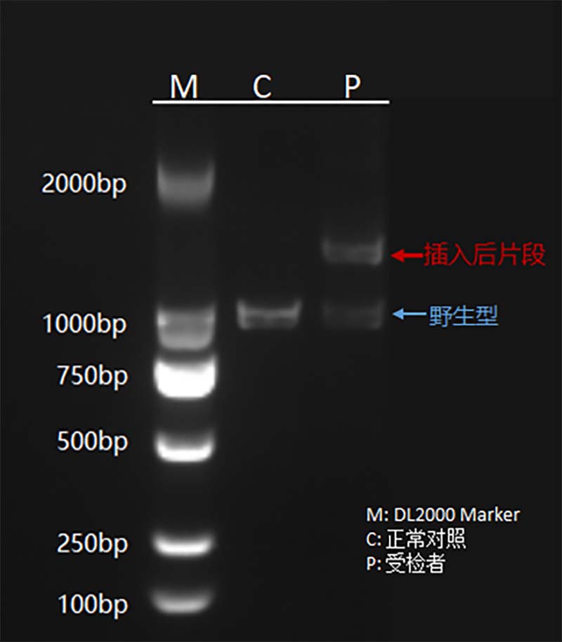 2-图片2.jpg