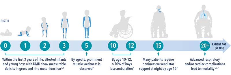 development-of-DMD-throughout-a-lifespan-e1664962217119.jpg