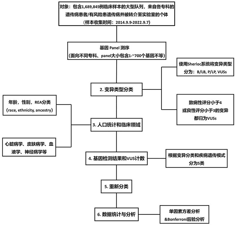 研究设计和流程.jpg