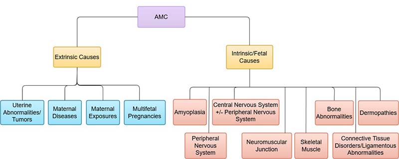1769057202159014875.jpg Untitled (3).jpg