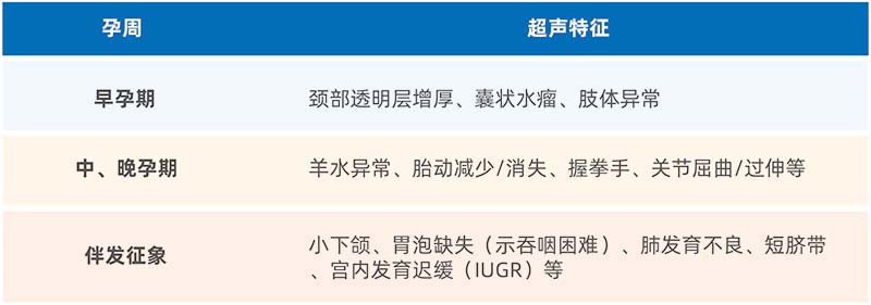 1769057517996031898.jpg 资源 5.jpg