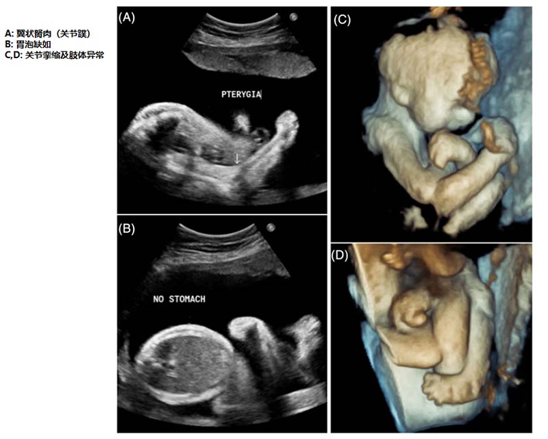 1769057670300067887.jpg 图片3.jpg