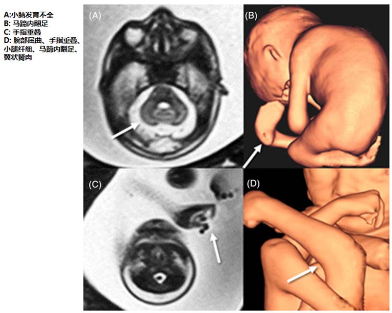 1769057700209087014.jpg 图片4.jpg