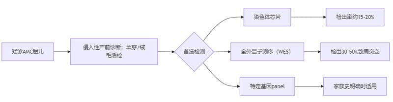 1769057854348096793.jpg 图片5.jpg